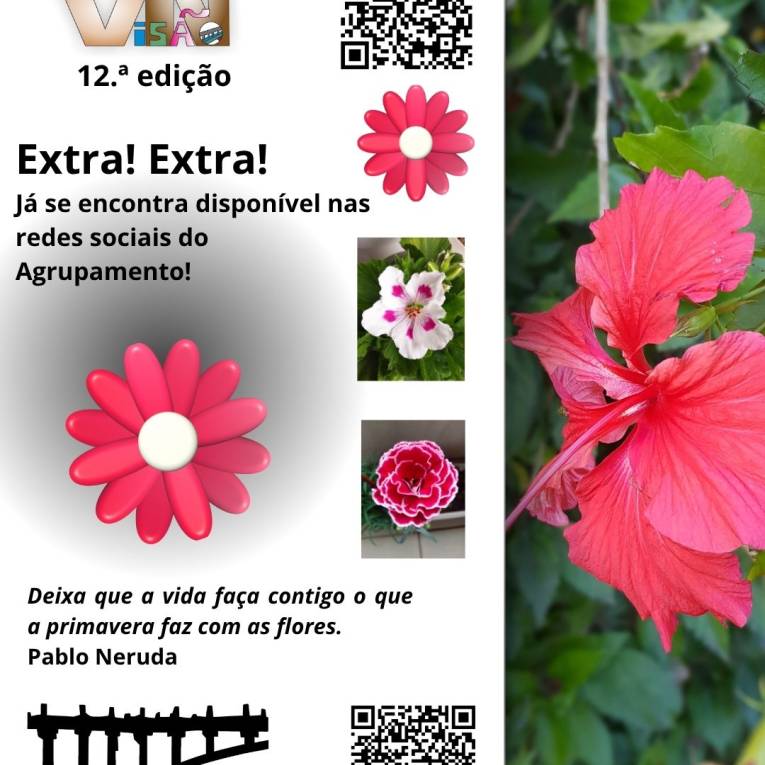 12.ª edição do “Jornal Digital Visão N”: já disponível!